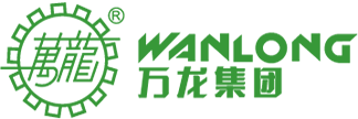 Wanlong Stone